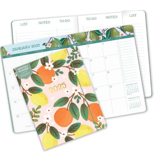 Orange Circle 2025 Just Right Monthly Planner Fruit And Flora Skout Orange circle 2025 just right monthly planner fruit and flora skout