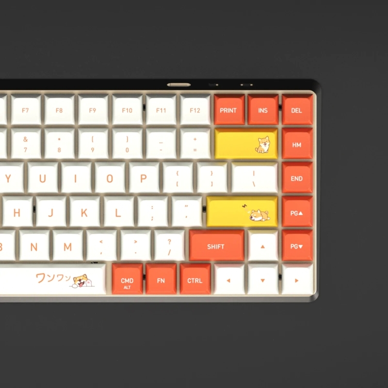 Azio cascade slim low profile keycaps set shiba light skout office